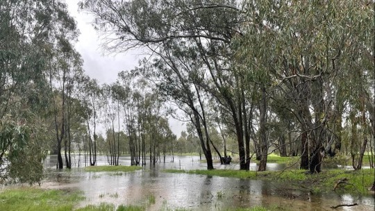 KidsTown will close due to flooding